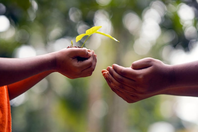 Sharing Seed Swaps